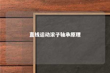 直线运动滚子轴承原理 